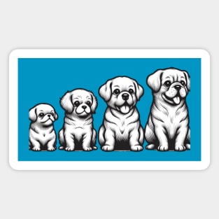 Four Happy Smiling  Puppies Magnet